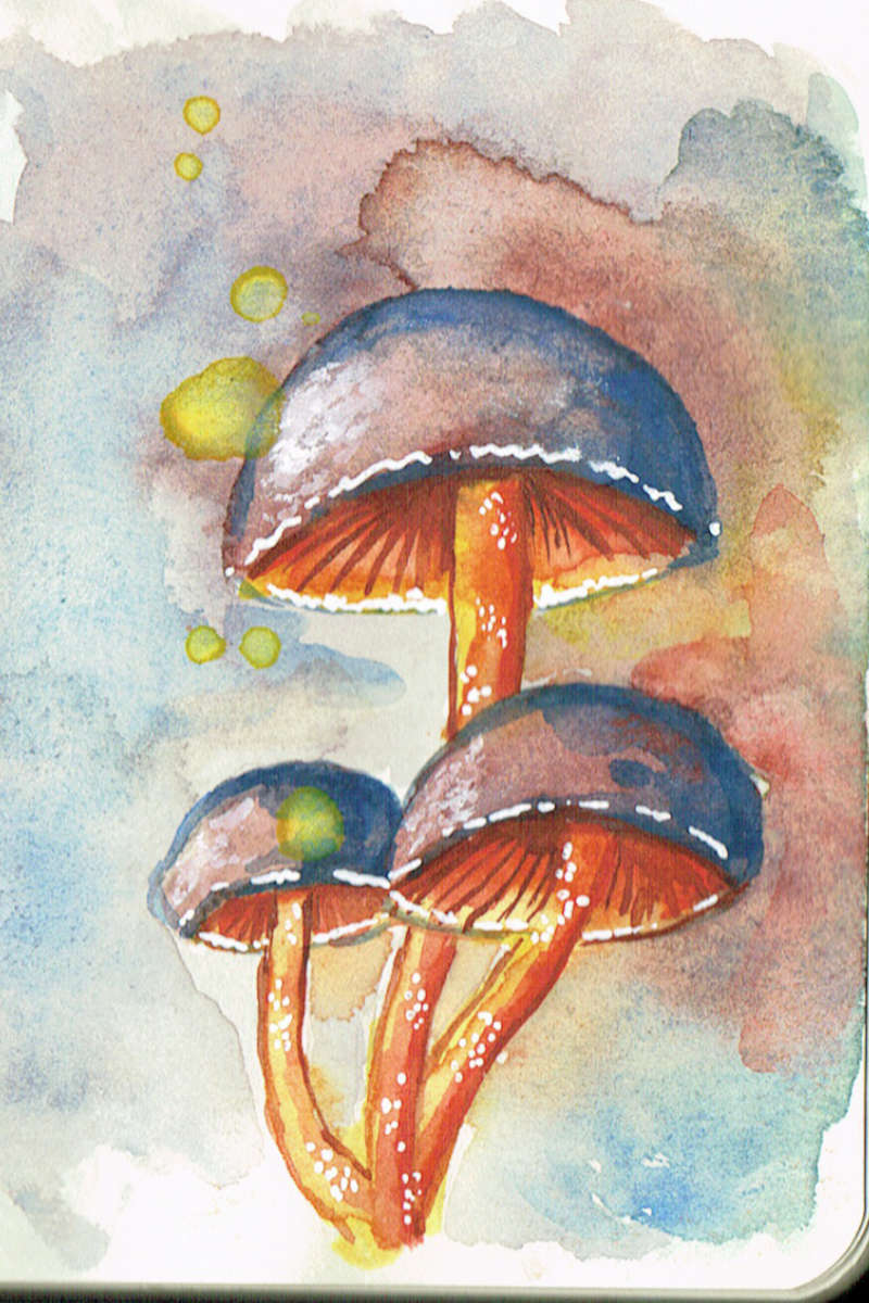 watercolor on paper mushrooms