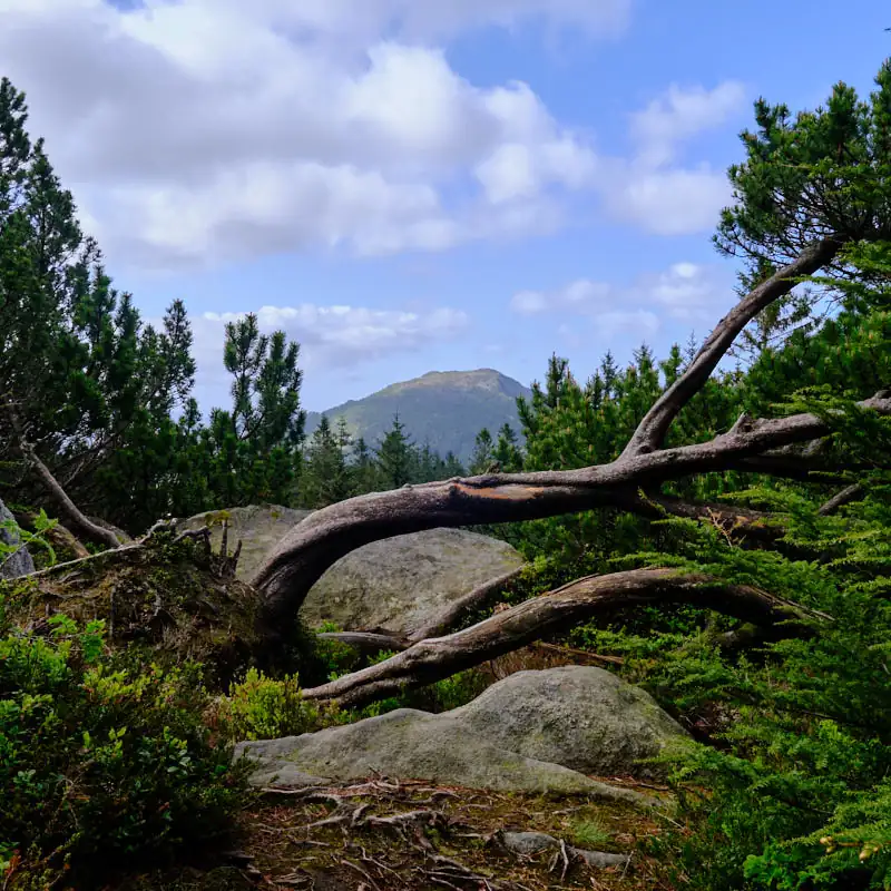 Nature Bergen Norway